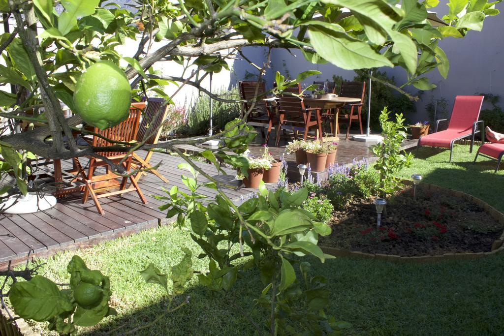 The Lions Guest House Ciudad del Cabo Exterior foto