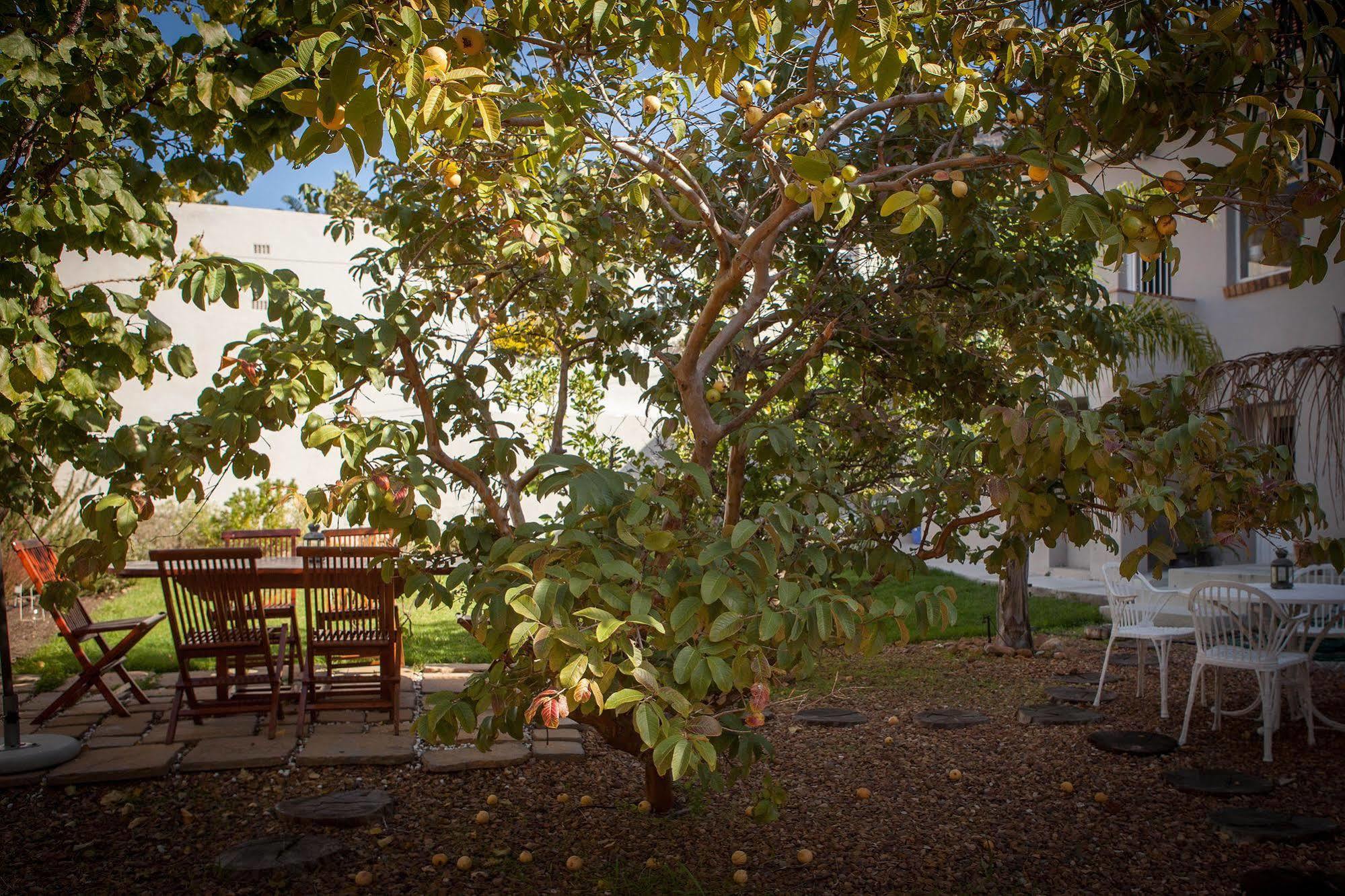 The Lions Guest House Ciudad del Cabo Exterior foto